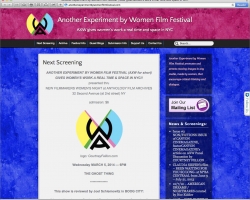 Another Experiment By Women Film Festival