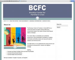 Brooklyn Center For Families In Crisis