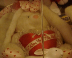 Bunny-Museum-691