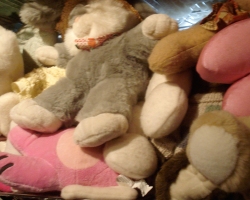 Bunny-Museum-735