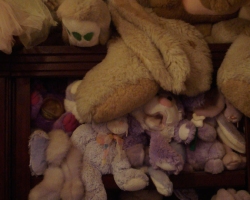 Bunny-Museum-736
