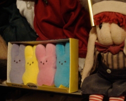 Bunny-Museum-745