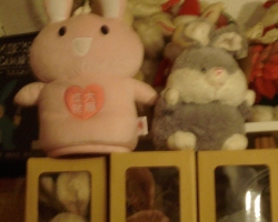 Bunny-Museum-751