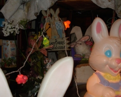 Bunny-Museum-773