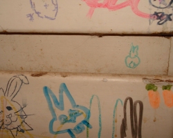Bunny-Museum-799