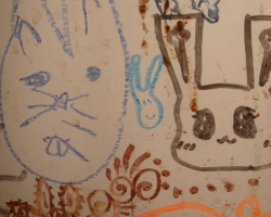 Bunny-Museum-800