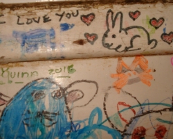 Bunny-Museum-801